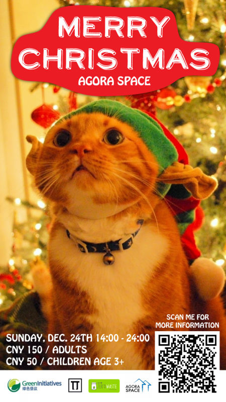 Cat for Merry Xmas